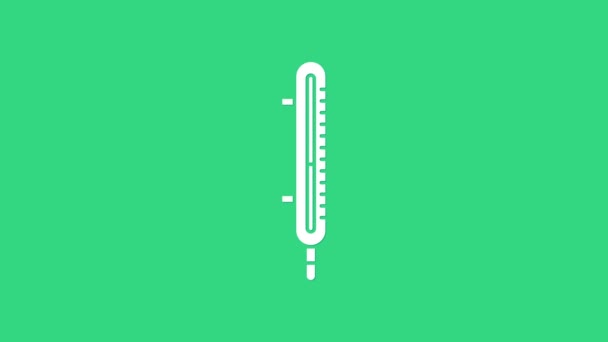Witte Meteorologie thermometer meten pictogram geïsoleerd op groene achtergrond. Thermometer apparatuur toont warm of koud weer. 4K Video motion grafische animatie — Stockvideo