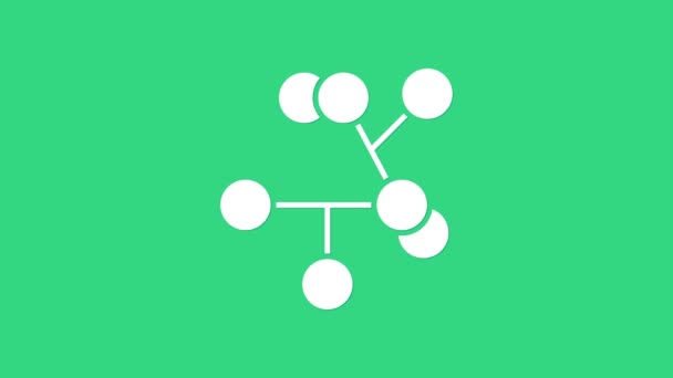 Ícone Molécula branca isolado no fundo verde. Estrutura de moléculas em química, professores de ciências cartaz educacional inovador. Animação gráfica em movimento de vídeo 4K — Vídeo de Stock