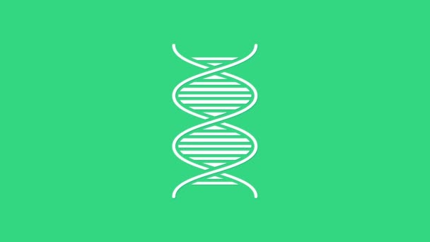 Символ белой ДНК выделен на зеленом фоне. Видеографическая анимация 4K — стоковое видео