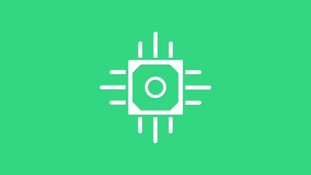 Ikon Prosesor Putih diisolasi dengan latar belakang hijau. CPU, unit pemrosesan pusat, microchip, microcircuit, prosesor komputer, chip. Animasi grafis gerak Video 4K — Stok Video