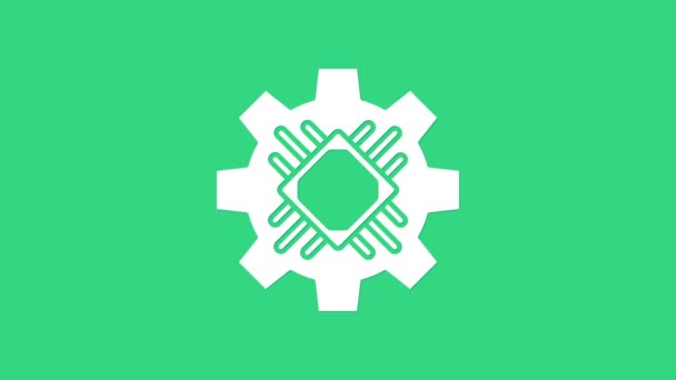 Ikon Prosesor Putih diisolasi dengan latar belakang hijau. CPU, unit pemrosesan pusat, microchip, microcircuit, prosesor komputer, chip. Animasi grafis gerak Video 4K — Stok Video
