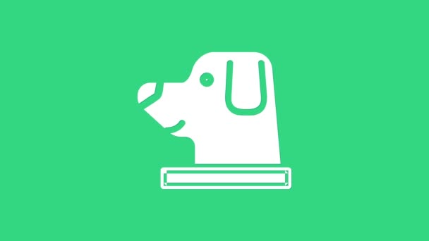 Vit hund i astronaut hjälm ikon isolerad på grön bakgrund. 4K Video motion grafisk animation — Stockvideo