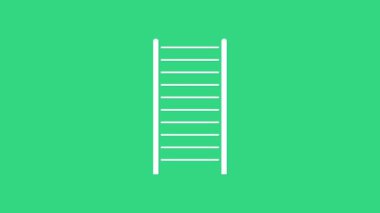 Beyaz tahta merdiven ikonu yeşil arka planda izole edilmiş. 4K Video hareketli grafik canlandırması