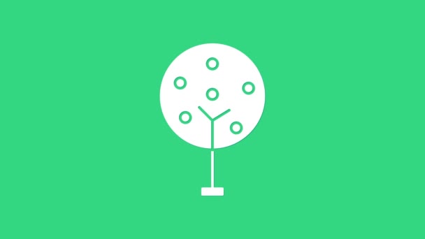 緑の背景に白の木のアイコンが隔離された。森のシンボル。4Kビデオモーショングラフィックアニメーション — ストック動画
