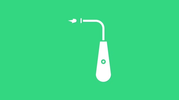 Blanco Icono largo del encendedor eléctrico aislado sobre fondo verde. Animación gráfica de vídeo 4K — Vídeos de Stock
