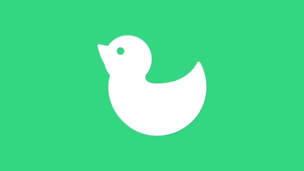 Yeşil arkaplanda beyaz plastik ördek simgesi var. 4K Video hareketli grafik canlandırması — Stok video