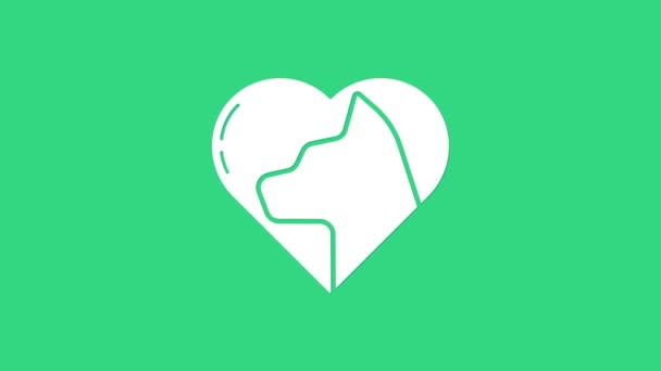 Белое сердце с кошачьей иконкой на зеленом фоне. Люблю животных. Видеографическая анимация 4K — стоковое видео