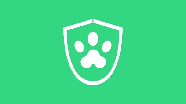 Weiße Tierkrankenversicherungsikone isoliert auf grünem Hintergrund. Tierschutz-Ikone. Pfotenabdruck für Hund oder Katze. 4K Video Motion Grafik Animation — Stockvideo