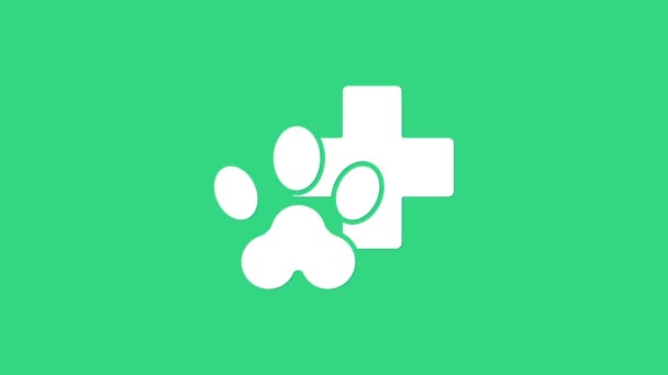 Icono símbolo de la clínica veterinaria blanca aislado sobre fondo verde. Cruz de la señal del hospital. Perro o gato con estampado de pata estilizado. Signo de primeros auxilios. Animación gráfica de vídeo 4K — Vídeos de Stock