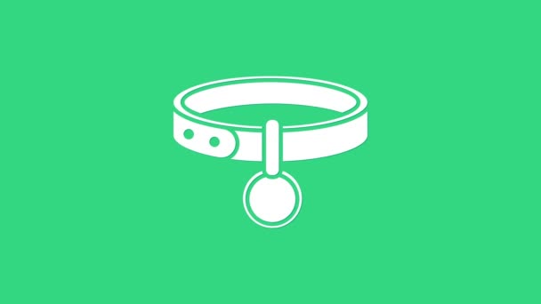 Collar blanco con icono de etiqueta de nombre aislado sobre fondo verde. Suministros simples para animales domésticos. Cuidado de gatos y perros. Cadenas para mascotas. Animación gráfica de vídeo 4K — Vídeo de stock