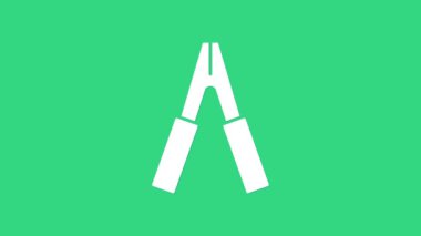 Beyaz araba pilli kablo ikonu yeşil arka planda izole edildi. 4K Video hareketli grafik canlandırması