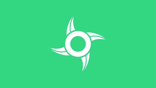Bílé japonské ninja Shuriken ikona izolované na zeleném pozadí. Grafická animace pohybu videa 4K — Stock video