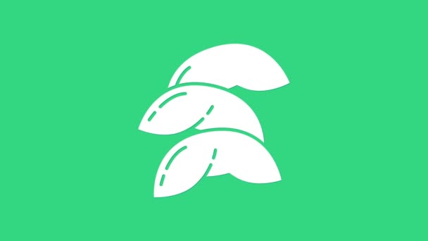Icono de galleta blanca de la fortuna china aislado sobre fondo verde. Asiática tradicional. Animación gráfica de vídeo 4K — Vídeo de stock