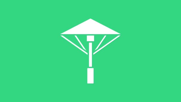 Fehér Hagyományos japán esernyő a Nap ikon elszigetelt zöld alapon. 4K Videó mozgás grafikus animáció — Stock videók