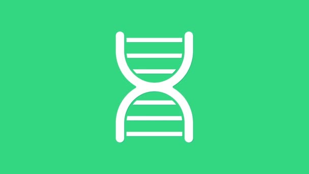 Weißes DNA-Symbol isoliert auf grünem Hintergrund. 4K Video Motion Grafik Animation — Stockvideo