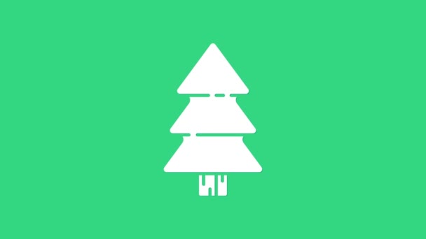 Vit julgran ikon isolerad på grön bakgrund. God Jul och Gott Nytt År. 4K Video motion grafisk animation — Stockvideo