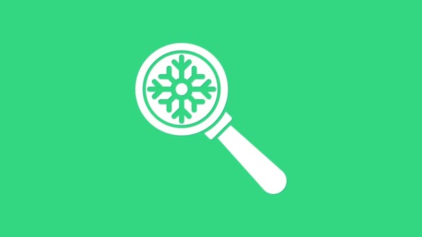 Weiße Lupe mit Schneeflockensymbol auf grünem Hintergrund. 4K Video Motion Grafik Animation — Stockvideo
