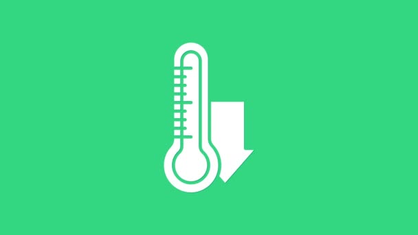 Witte Meteorologie thermometer meten pictogram geïsoleerd op groene achtergrond. Thermometer apparatuur toont warm of koud weer. 4K Video motion grafische animatie — Stockvideo