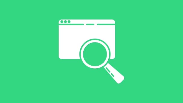 Búsqueda en blanco en un icono de la ventana del navegador aislado sobre fondo verde. Animación gráfica de vídeo 4K — Vídeos de Stock