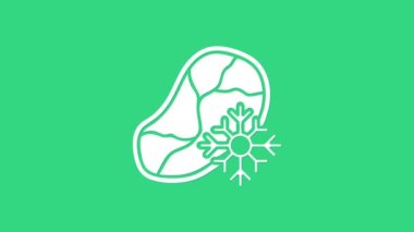 Yeşil arka planda beyaz taze donmuş et ikonu. 4K Video hareketli grafik canlandırması