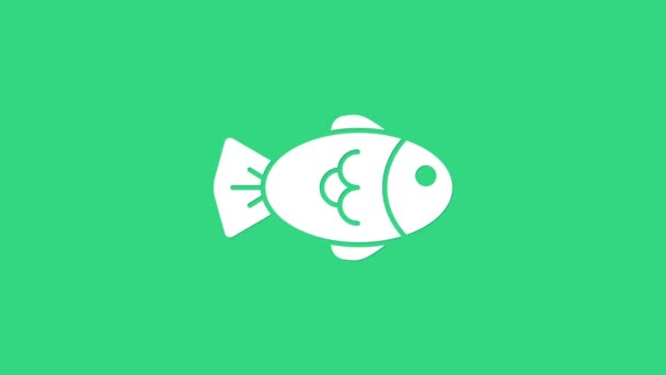Fehér hal ikon elszigetelt zöld alapon. 4K Videó mozgás grafikus animáció — Stock videók