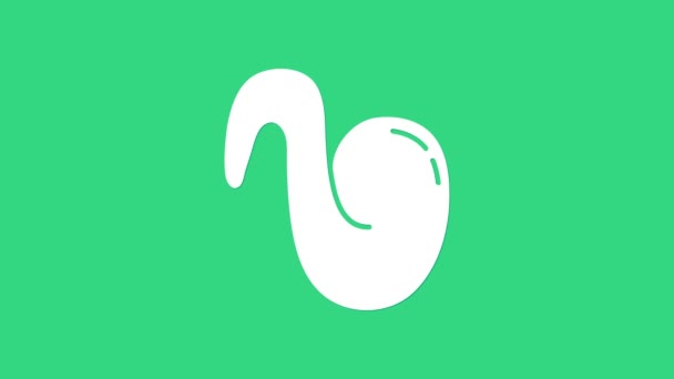Biały Fried ikona skrzydła kurczaka izolowane na zielonym tle. 4K Animacja graficzna ruchu wideo — Wideo stockowe
