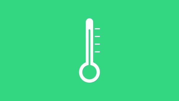 緑色の背景に隔離された白い気象温度計のアイコン。高温または低温を示す温度計機器。4Kビデオモーショングラフィックアニメーション — ストック動画