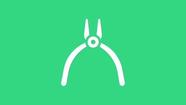 White Pliers tool icon isolated on green background. Pliers work industry mechanical plumbing tool. 4K Video motion graphic animation — Stock Video