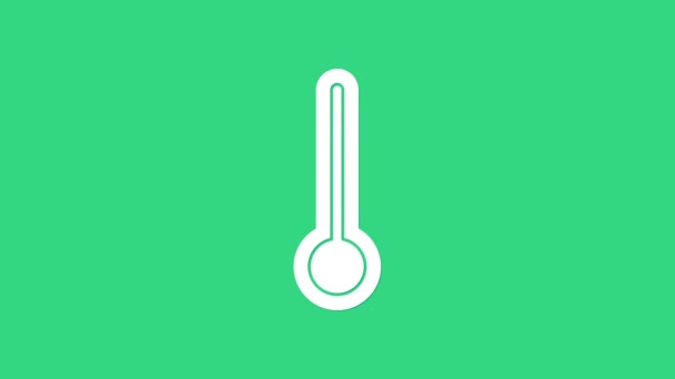 White Medical thermometer for medical examination icon isolated on green background. 4K Video motion graphic animation — Stock Video