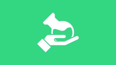 Beyaz test tüpü ve küçük şişe yeşil arka planda izole edilmiş. Kimyasal laboratuvar testi. Laboratuvar camları. 4K Video hareketli grafik canlandırması