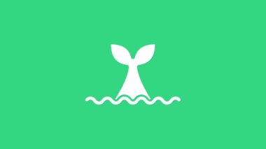 Okyanus dalgası ikonunda beyaz balina kuyruğu yeşil arka planda izole edildi. 4K Video hareketli grafik canlandırması