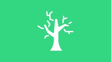 Yeşil arkaplanda beyaz solmuş ağaç simgesi var. Çıplak ağaç. Ölü ağaç silueti. 4K Video hareketli grafik canlandırması