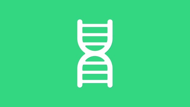 Ikona symbolu bílé DNA izolovaná na zeleném pozadí. Grafická animace pohybu videa 4K — Stock video