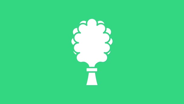 Vit Bastu kvast ikon isolerad på grön bakgrund. Badrum från björkkvistar, grenar för ryskt ångbad, bastu, tvättstuga. 4K Video motion grafisk animation — Stockvideo