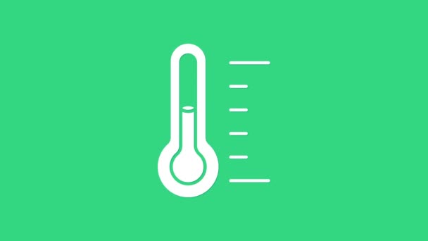 Witte Sauna thermometer pictogram geïsoleerd op groene achtergrond. Sauna en baduitrusting. 4K Video motion grafische animatie — Stockvideo