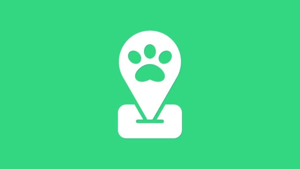 Fehér Helyszín kisállat ápolás ikon elszigetelt zöld háttér. Kisállat fodrászat. Fodrászat kutyáknak és macskáknak. 4K Videó mozgás grafikus animáció