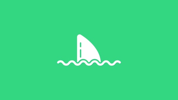 Aleta de tiburón blanco en el icono de la ola oceánica aislado sobre fondo verde. Animación gráfica de vídeo 4K — Vídeos de Stock