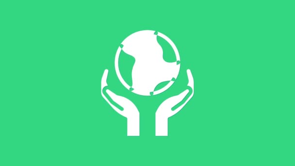Bílé lidské ruce držící ikonu Země na zeleném pozadí. Uložit pozemský koncept. Grafická animace pohybu videa 4K — Stock video