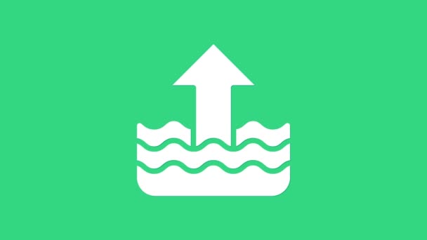 White Rise στο επίπεδο του νερού εικονίδιο απομονώνονται σε πράσινο φόντο. 4K Γραφική κίνηση κίνησης βίντεο — Αρχείο Βίντεο