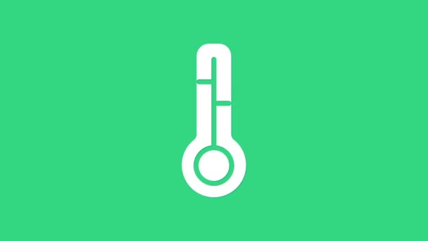 Bílý meteorologický teploměr měřící ikonu izolovanou na zeleném pozadí. Teploměr ukazuje teplé nebo studené počasí. Grafická animace pohybu videa 4K — Stock video
