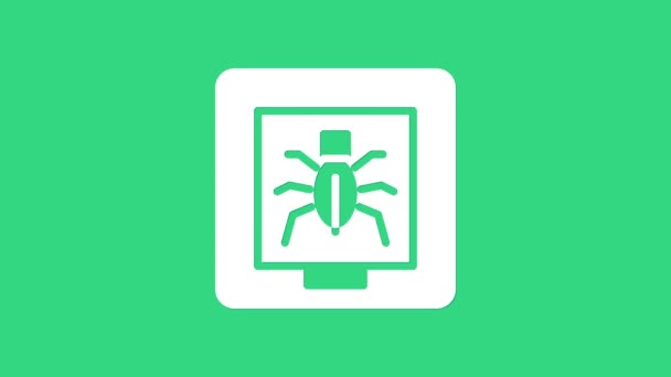 Белые насекомые в рамке иконки изолированы на зеленом фоне. Гербарий. Видеографическая анимация 4K — стоковое видео