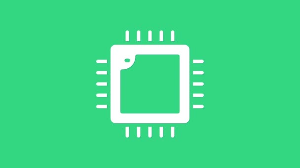 Biały procesor komputerowy z mikroukładami ikona procesora izolowana na zielonym tle. Chip lub cpu z płytką drukowaną. Mikroprocesor. 4K Animacja graficzna ruchu wideo — Wideo stockowe