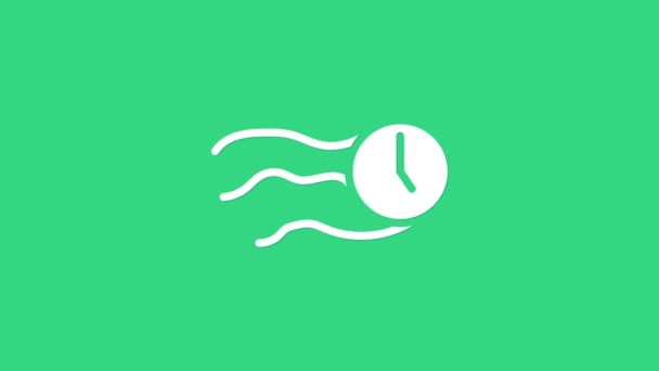 Fehér idő repül az óra ikon elszigetelt zöld háttér. 4K Videó mozgás grafikus animáció — Stock videók