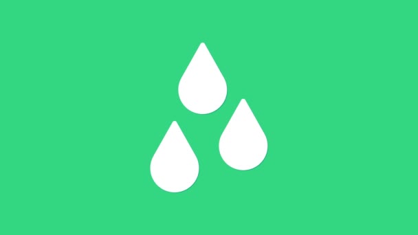 Biała ikona kropli wody izolowana na zielonym tle. 4K Animacja graficzna ruchu wideo — Wideo stockowe