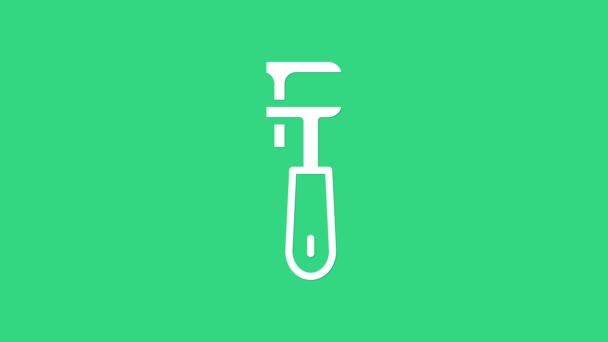 Icono de llave inglesa ajustable White Pipe aislado sobre fondo verde. Animación gráfica de vídeo 4K — Vídeos de Stock
