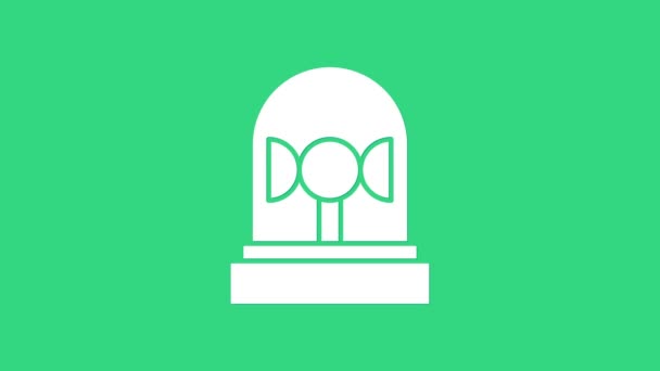 Fehér Flasher szirén ikon elszigetelt zöld alapon. Vészvillogó sziréna. 4K Videó mozgás grafikus animáció — Stock videók