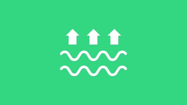Beyaz su dalgaları ve buharlaşma ikonu yeşil arka planda izole edildi. 4K Video hareketli grafik canlandırması — Stok video