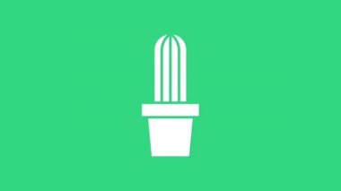 Yeşil arka planda beyaz kaktüs kaktüsü ikonu. Tencerede yetişen bir bitki. Saksı bitkisi işareti. 4K Video hareketli grafik canlandırması