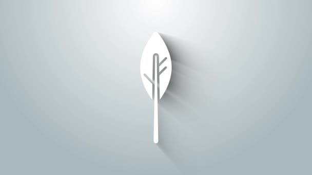 Icono de pluma blanca india aislado sobre fondo gris. Pluma de símbolo étnico nativo americano. Animación gráfica de vídeo 4K — Vídeos de Stock