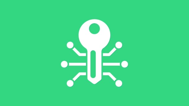 Weißes Schlüsselsymbol auf grünem Hintergrund isoliert. 4K Video Motion Grafik Animation — Stockvideo